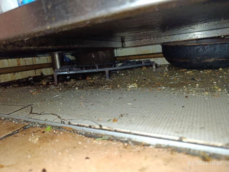 Ilustrační fotografie č. 8