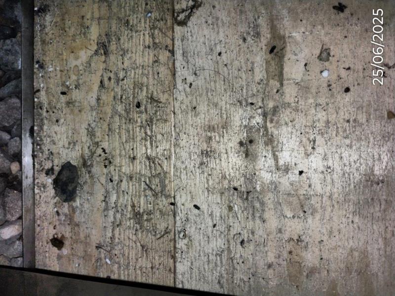 Ilustrační fotografie č. 15