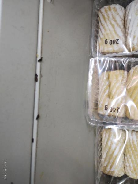 Ilustrační fotografie č. 3