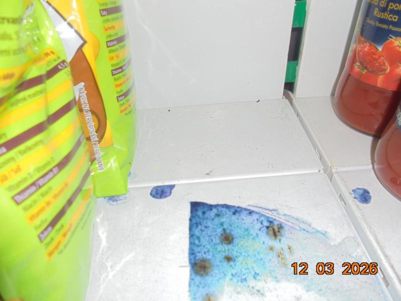 Ilustrační fotografie č. 8