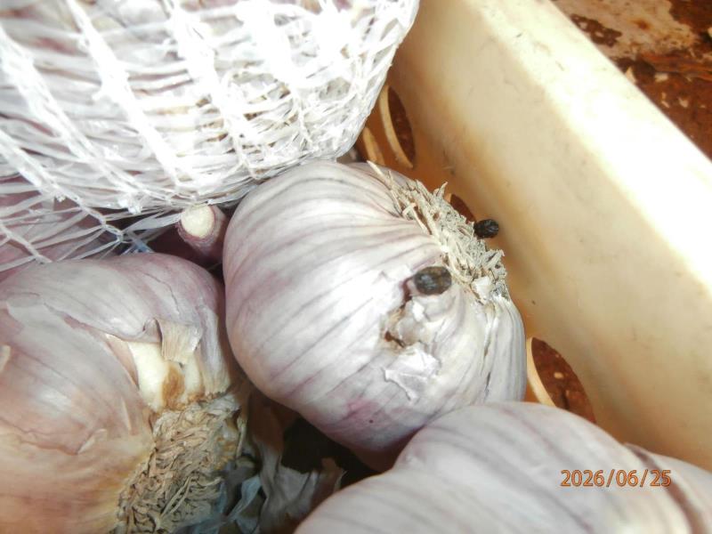 Illustrative photo no. 9