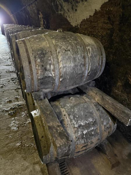 Ilustrační fotografie č. 3