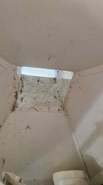 Ilustrační fotografie č. 14