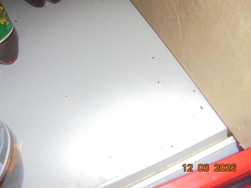 Ilustrační fotografie č. 6