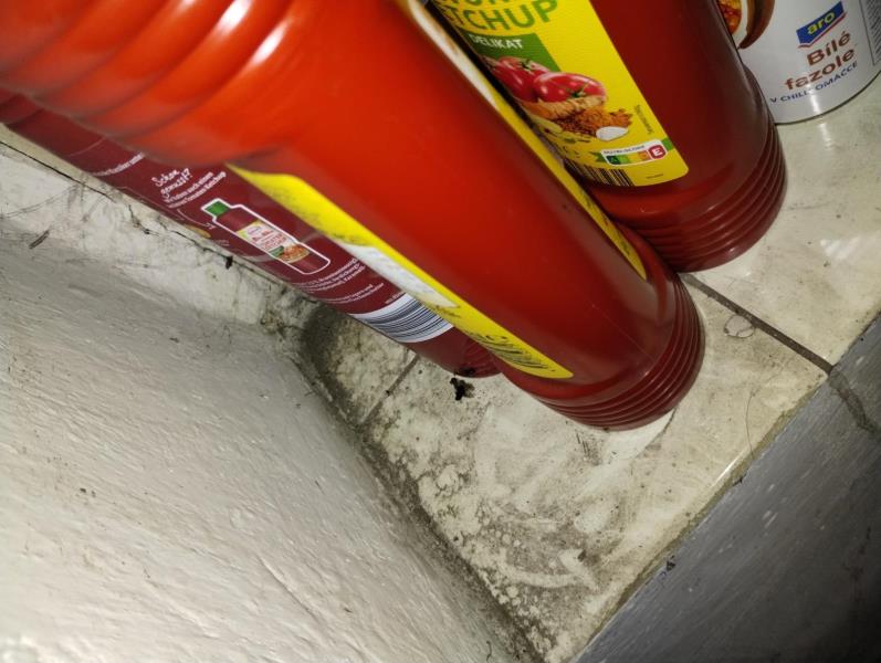 Ilustrační fotografie č. 13