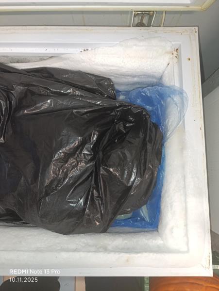 Ilustrační fotografie č. 4