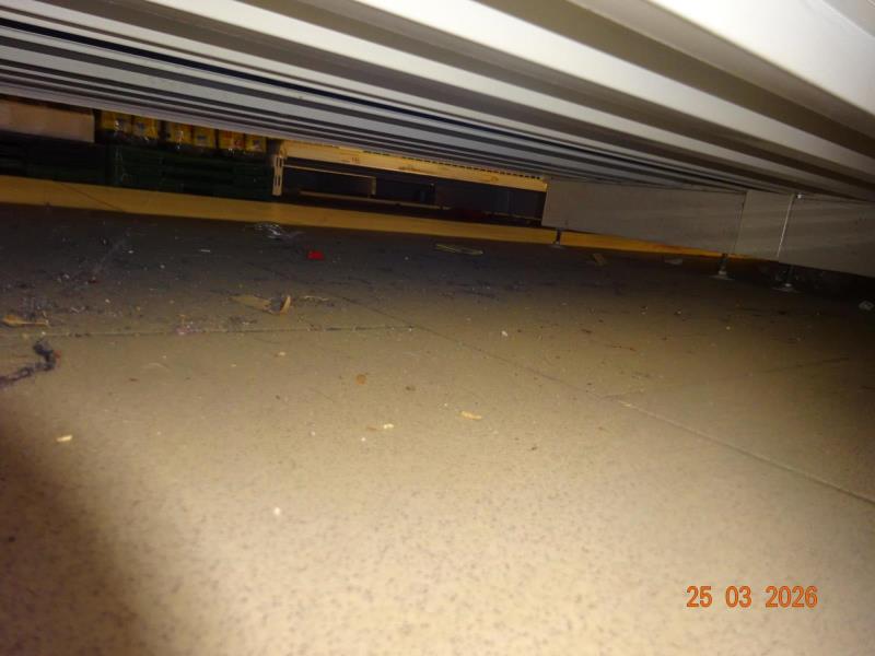 Ilustrační fotografie č. 10