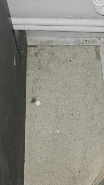 Illustrative photo no. 20