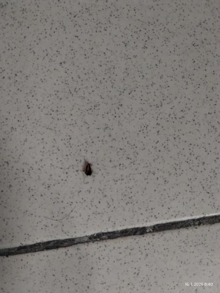 Ilustrační fotografie č. 2