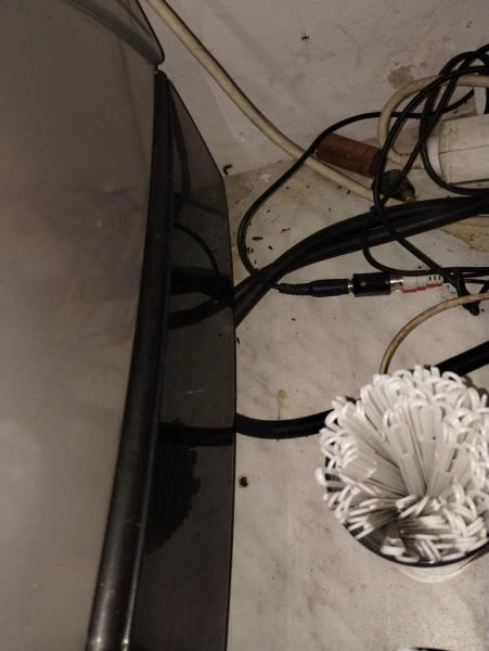 Ilustrační fotografie č. 13