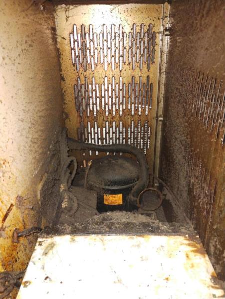 Ilustrační fotografie č. 6