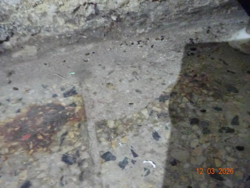 Ilustrační fotografie č. 5