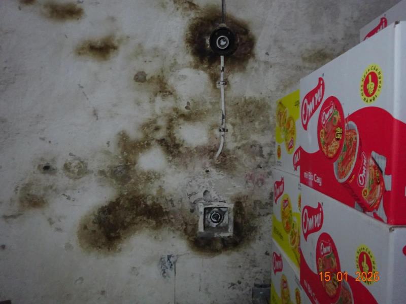 Ilustrační fotografie č. 8