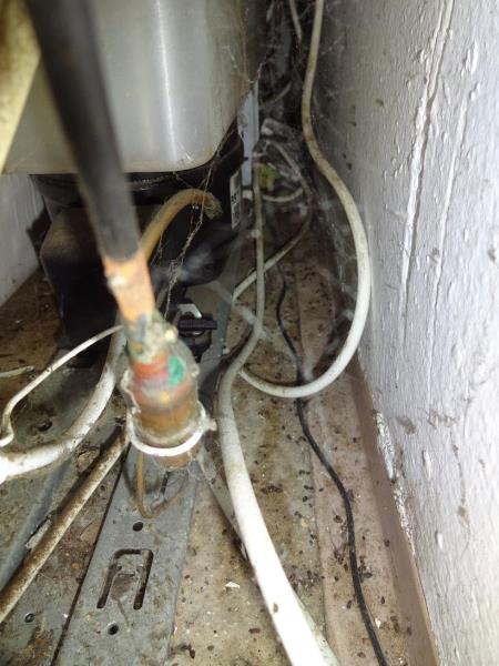 Ilustrační fotografie č. 11