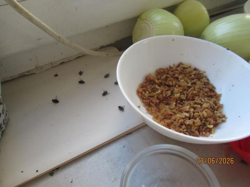 Illustrative photo no. 9