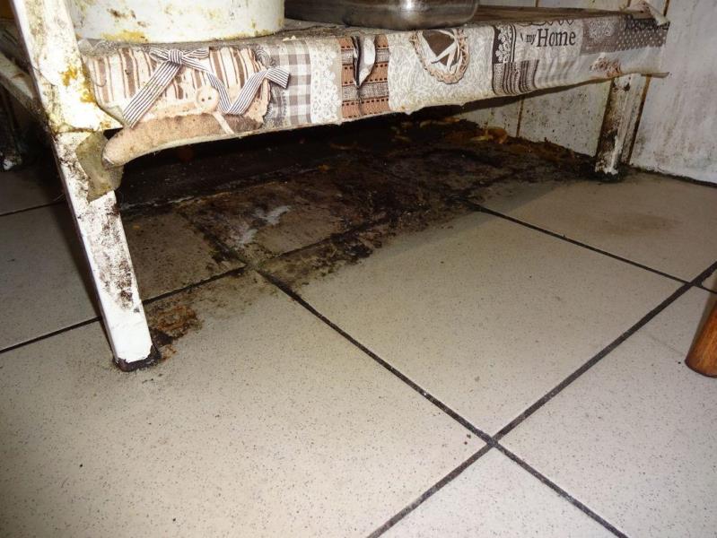 Ilustrační fotografie č. 5