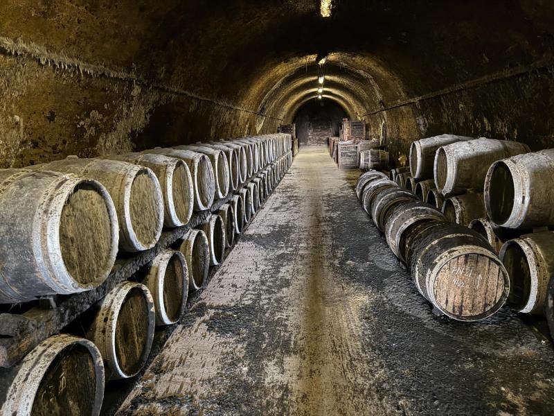 Ilustrační fotografie č. 29