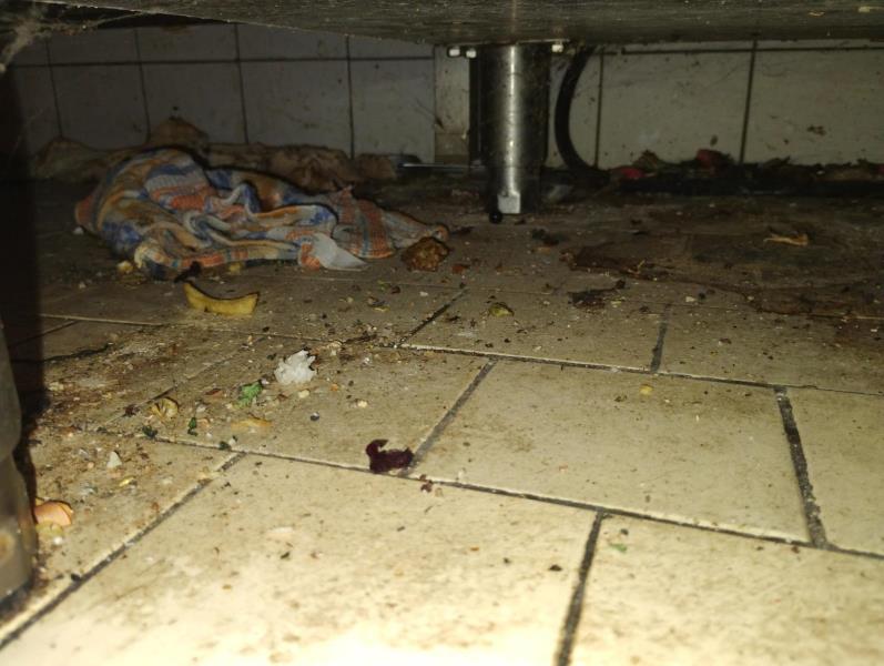 Ilustrační fotografie č. 6