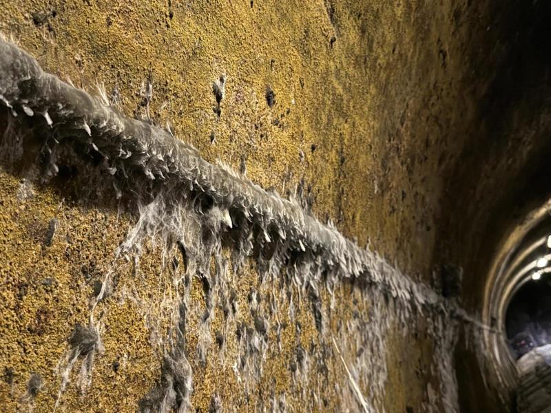 Ilustrační fotografie č. 22