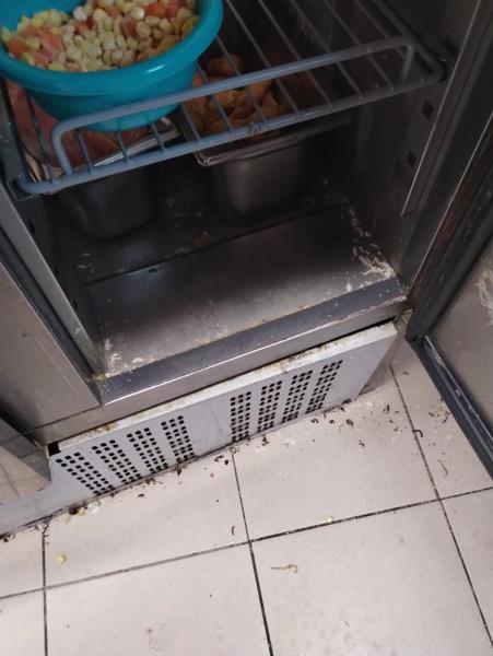 Ilustrační fotografie č. 22