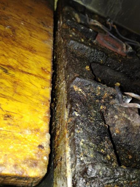 Ilustrační fotografie č. 9