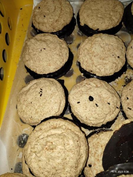 Ilustrační fotografie č. 6