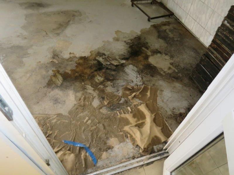 Ilustrační fotografie č. 4