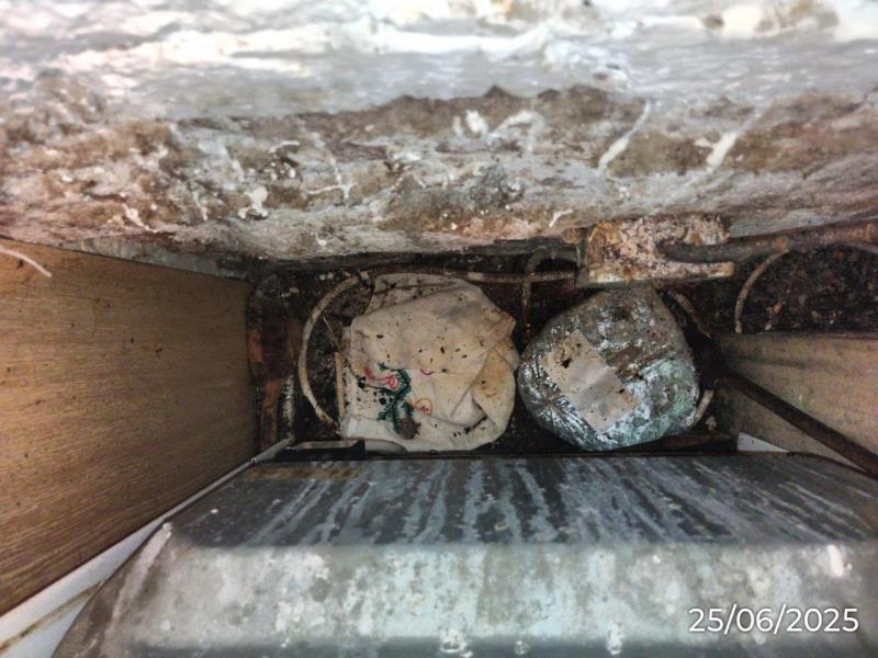 Ilustrační fotografie č. 8