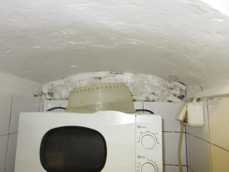 Illustrative photo no. 7