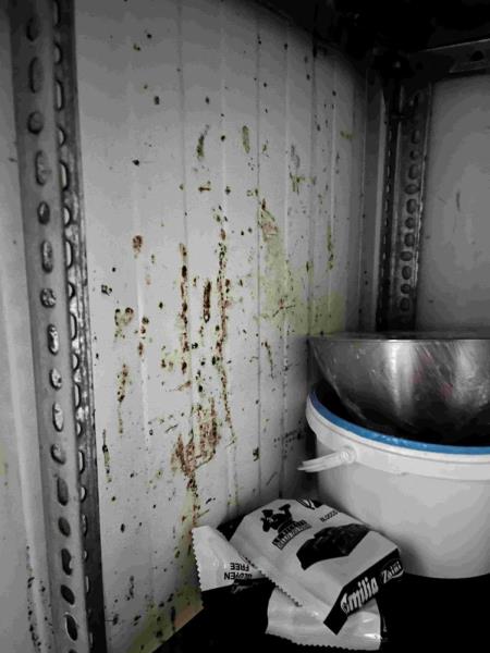 Ilustrační fotografie č. 15