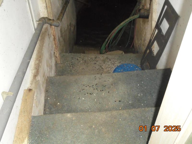 Illustrative photo no. 3