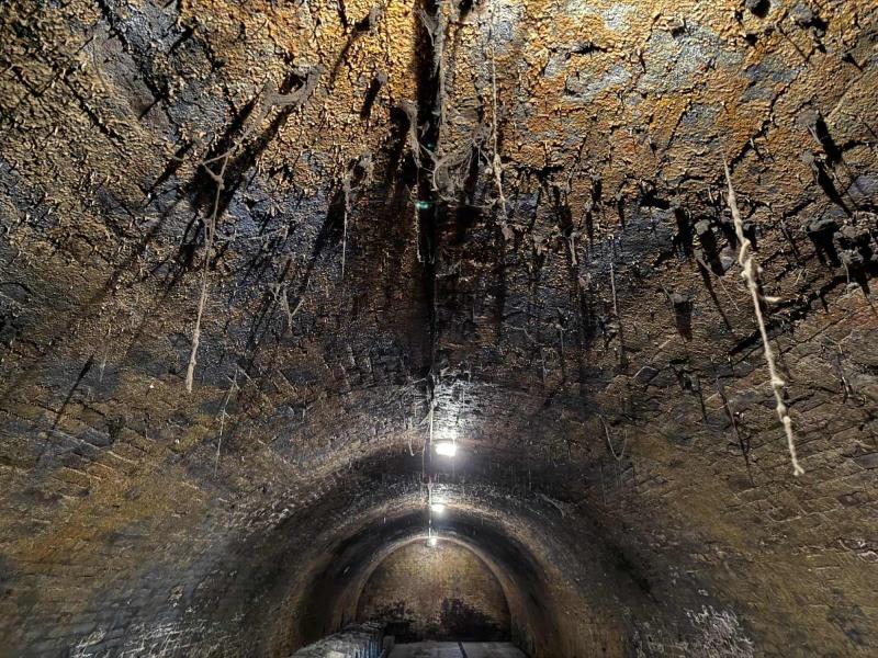 Ilustrační fotografie č. 19