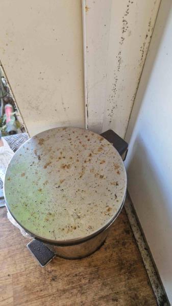 Ilustrační fotografie č. 13