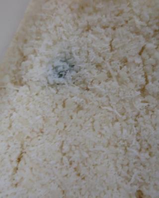 Illustrative photo #5