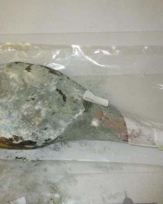 Illustration photo No. 7