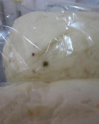 Illustrative photo #2