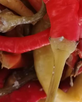 Illustrative photo #2