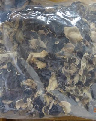 Illustrative photo #2