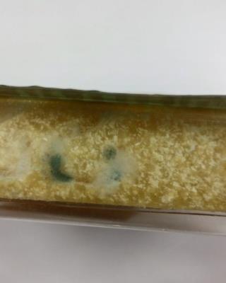 Illustrative photo #3