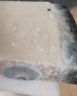 Illustrative photo #2