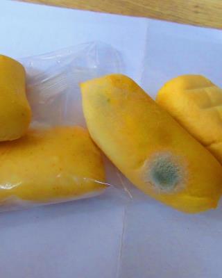 Illustrative photo #7