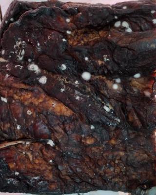 Illustrative photo #1