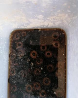 Illustrative photo #1