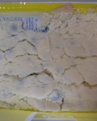 Illustrative photo #5