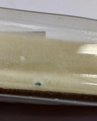 Illustrative photo #4