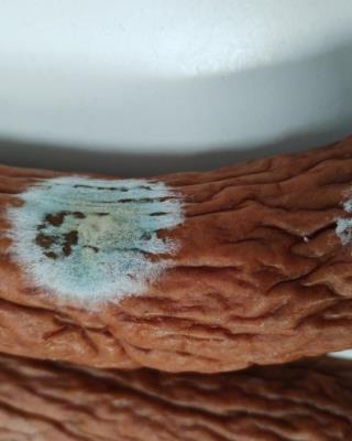 Illustrative photo #4