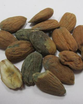 Illustrative photo no. 7