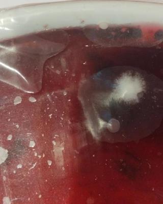 Illustrative photo #4