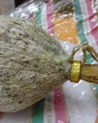 Illustrative photo #8