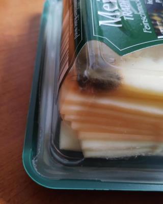 Illustrative photo #4